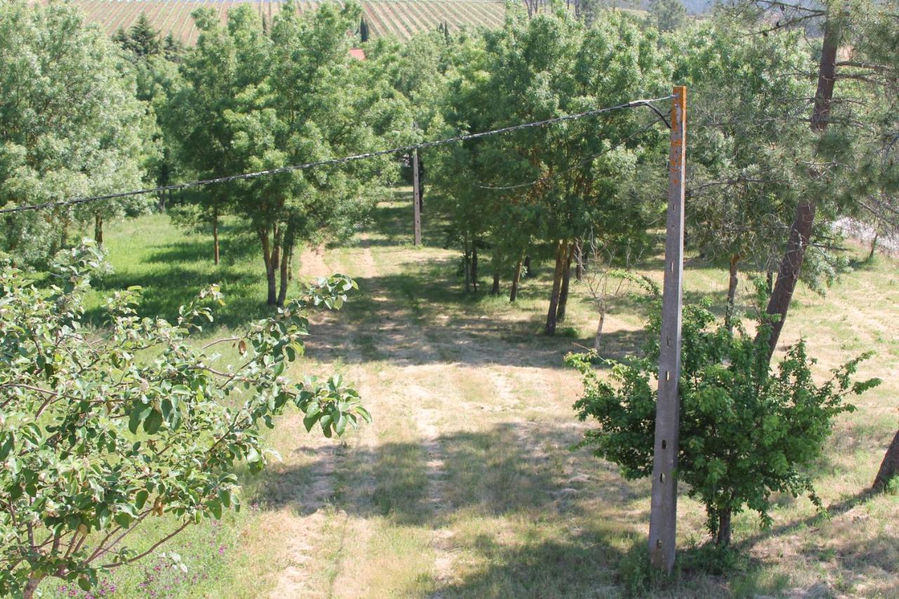 Herdade Dos Templarios Томар Экстерьер фото